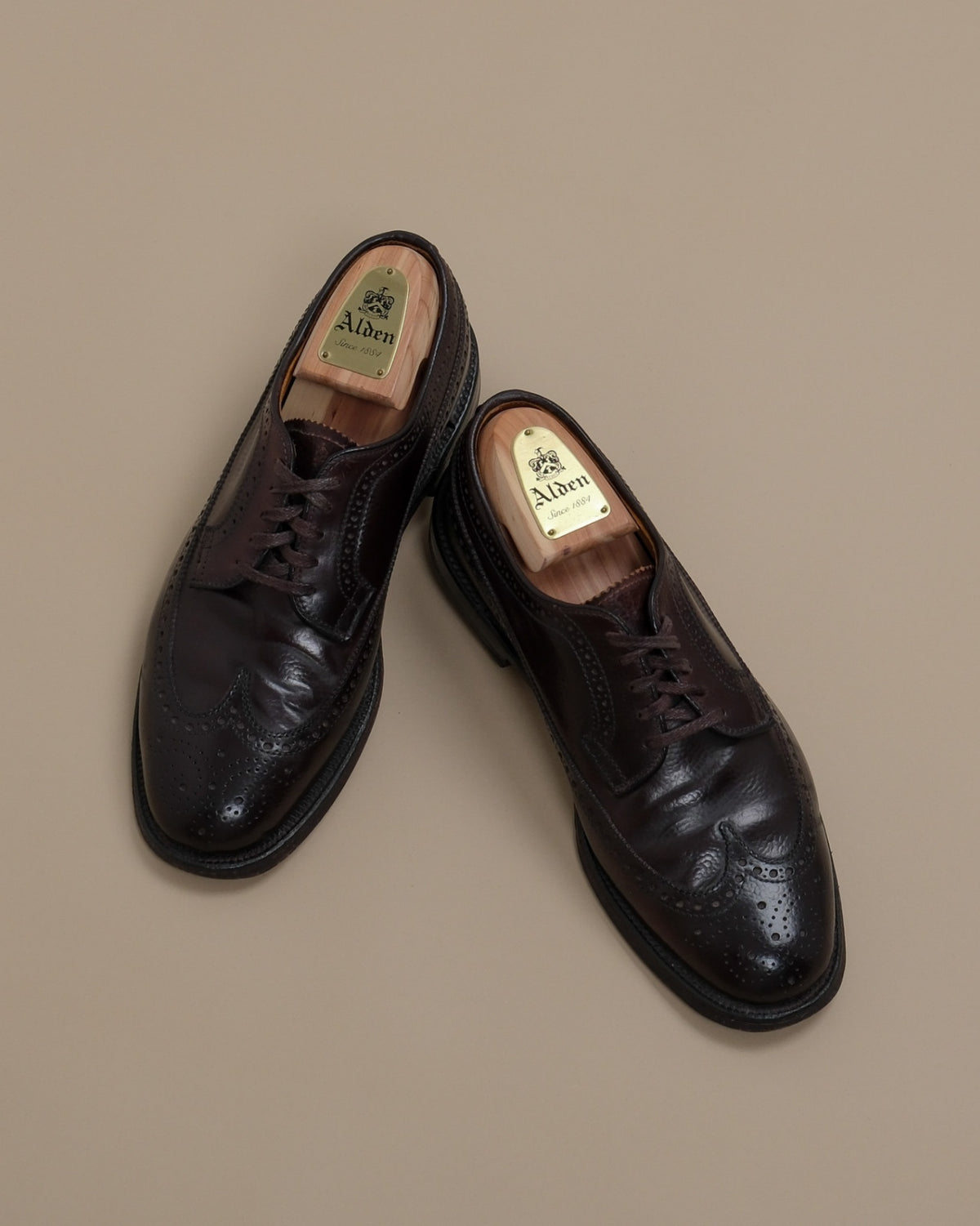 Color 8 Scotch Grain Shell Cordovan Long Wing Bluchers