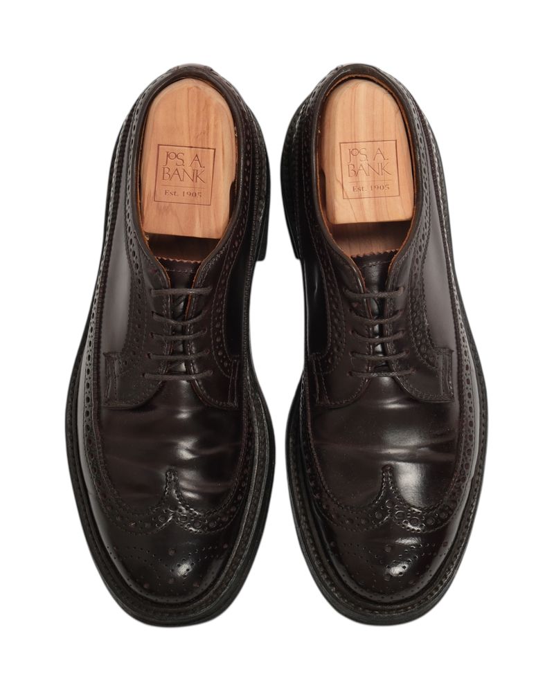 Cordovan Color 8 Long Wing Derbies