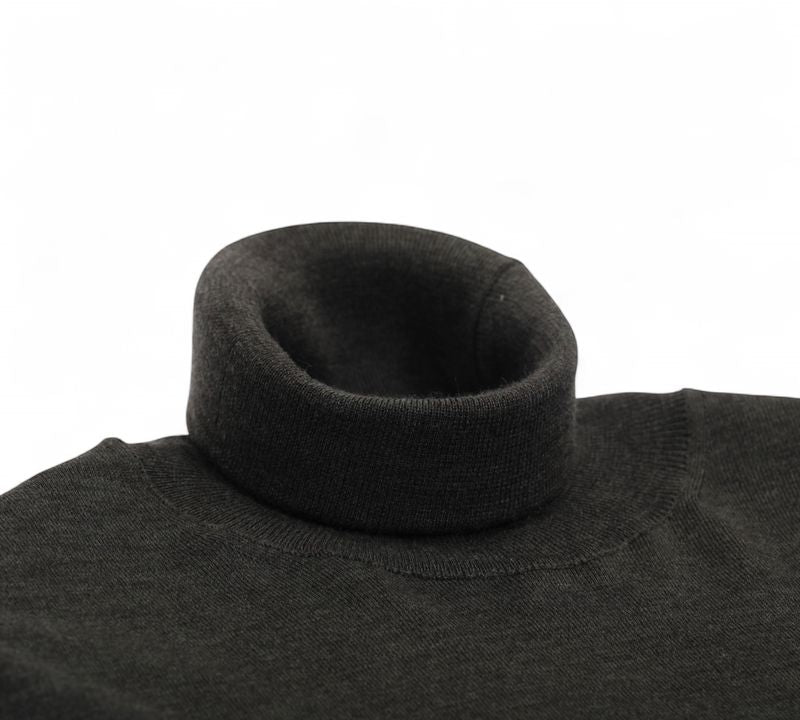 Dark Forrest Merino Rollneck
