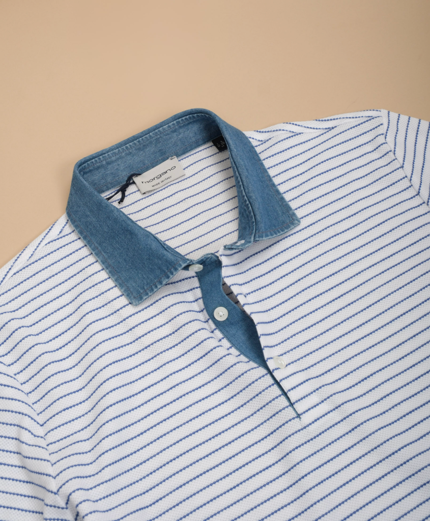 Blue Stripe on White Polo Shirt