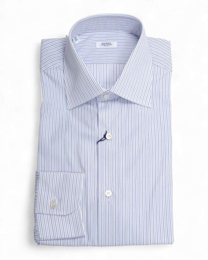 Blue/Navy Striped Poplin Shirt
